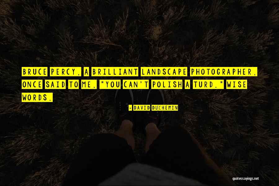 Brilliant Wise Quotes By David DuChemin Brilliant Wise Quotes By David DuChemin