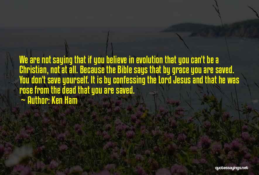 Brilliante Chandelier Quotes By Ken Ham