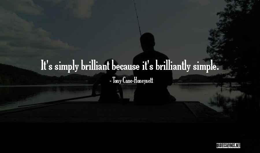 Brilliantly Simple Quotes By Tony Cane-Honeysett Brilliantly Simple Quotes By Tony Cane-Honeysett