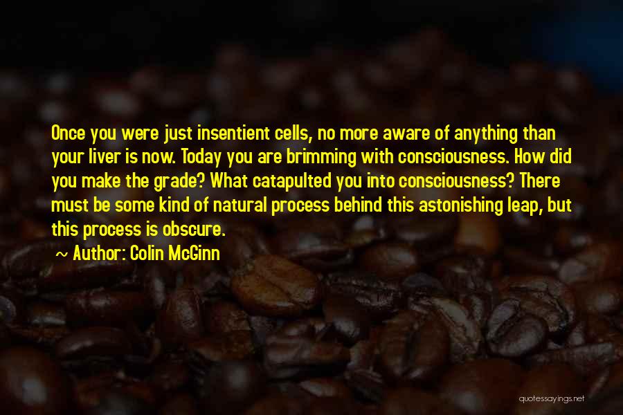 Brimming Quotes By Colin McGinn