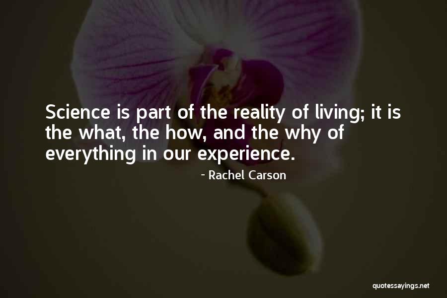 Brindando Sinonimo Quotes By Rachel Carson Brindando Sinonimo Quotes By Rachel Carson
