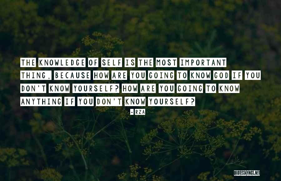 Brindarme Tu Quotes By RZA Brindarme Tu Quotes By RZA