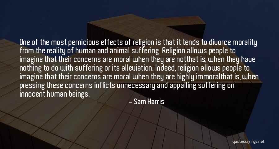 Brindedouro Quotes By Sam Harris Brindedouro Quotes By Sam Harris