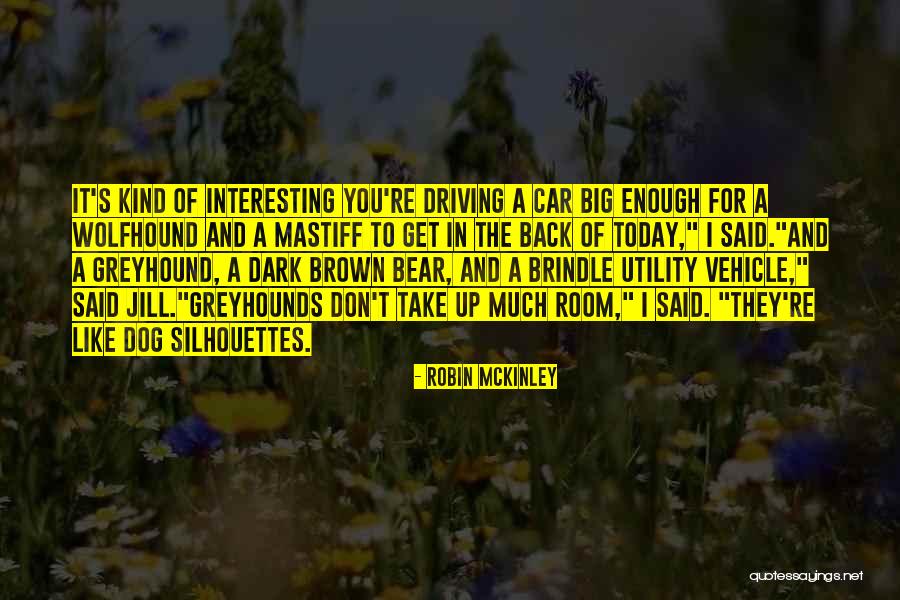 Brindle Quotes By Robin McKinley Brindle Quotes By Robin McKinley