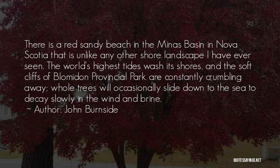 Brine Quotes By John Burnside