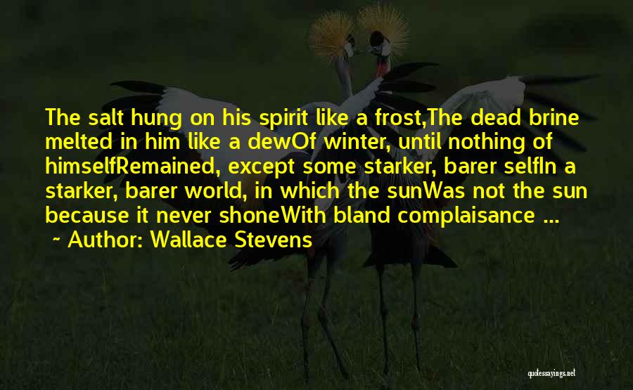 Brine Quotes By Wallace Stevens