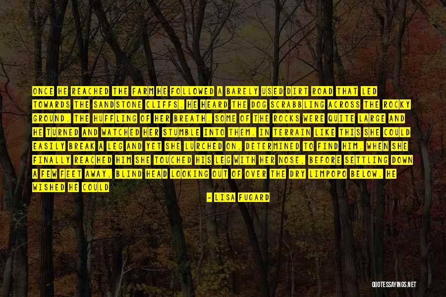 Bring On The Rain Quotes By Lisa Fugard Bring On The Rain Quotes By Lisa Fugard