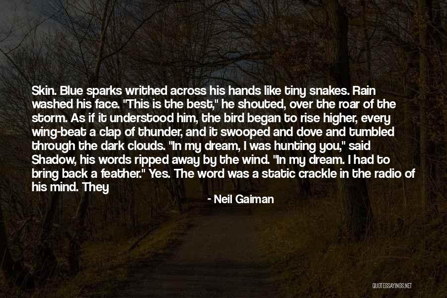 Bring On The Rain Quotes By Neil Gaiman Bring On The Rain Quotes By Neil Gaiman