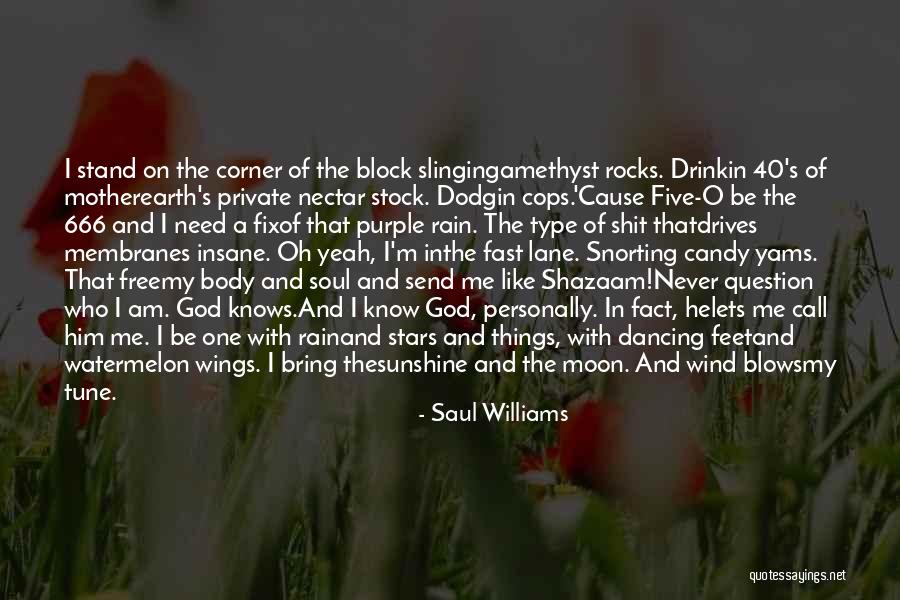 Bring On The Rain Quotes By Saul Williams Bring On The Rain Quotes By Saul Williams