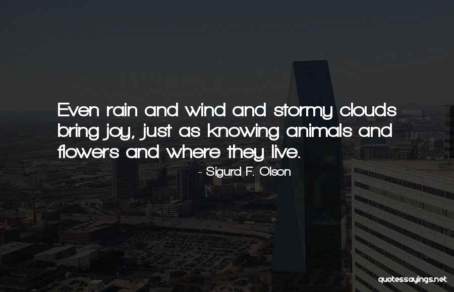 Bring On The Rain Quotes By Sigurd F. Olson Bring On The Rain Quotes By Sigurd F. Olson