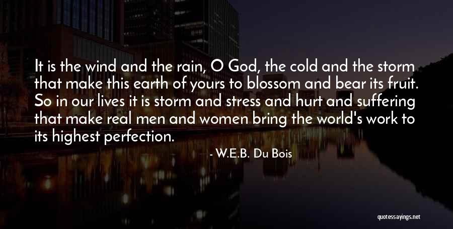 Bring On The Rain Quotes By W.E.B. Du Bois