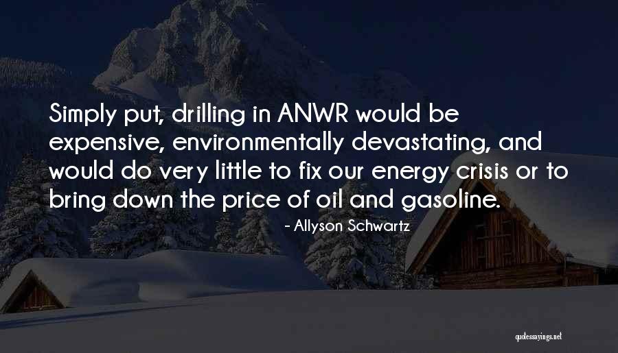 Bring The Energy Quotes By Allyson Schwartz Bring The Energy Quotes By Allyson Schwartz