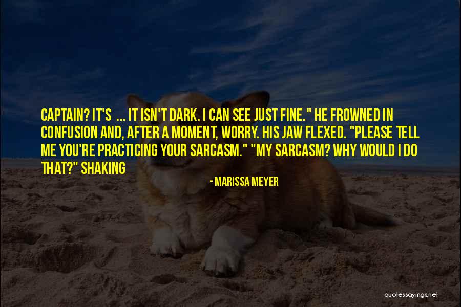 Bringing Flowers Quotes By Marissa Meyer Bringing Flowers Quotes By Marissa Meyer