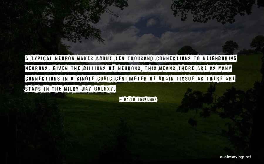 Bringing In The New Year Quotes By David Eagleman Bringing In The New Year Quotes By David Eagleman