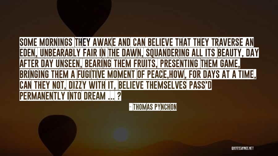 Bringing Peace Quotes By Thomas Pynchon