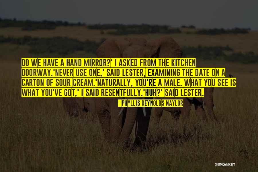 Bringthestlzootoyou Quotes By Phyllis Reynolds Naylor Bringthestlzootoyou Quotes By Phyllis Reynolds Naylor