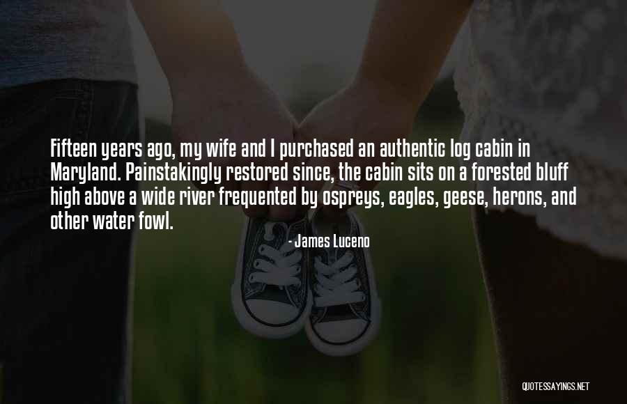 Brininstool Collection Quotes By James Luceno Brininstool Collection Quotes By James Luceno