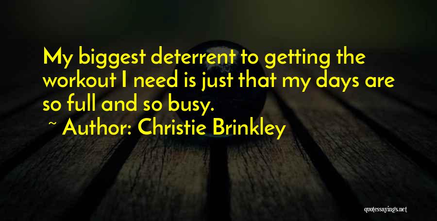 Brinkley Quotes By Christie Brinkley