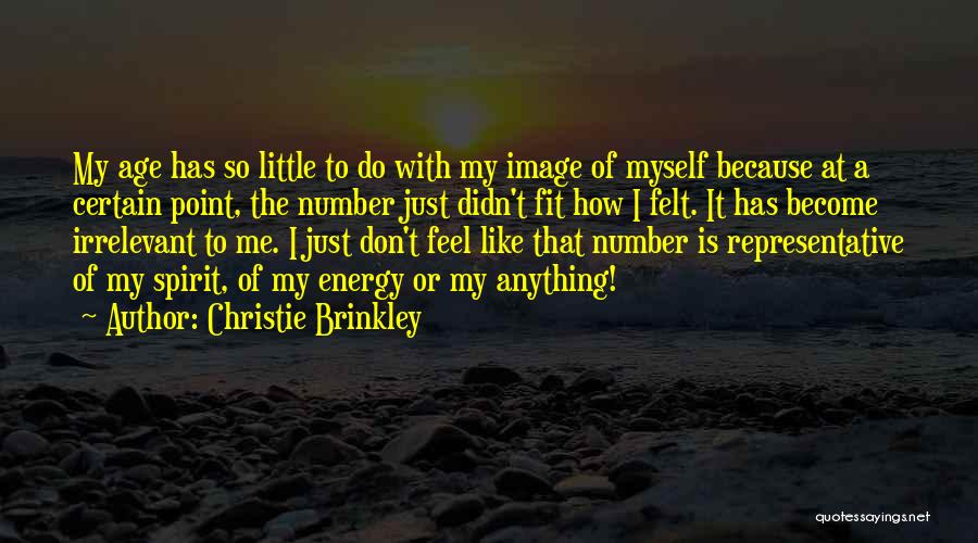 Brinkley Quotes By Christie Brinkley