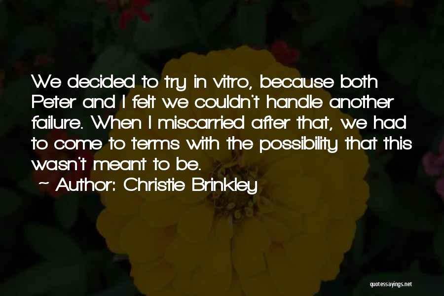 Brinkley Quotes By Christie Brinkley