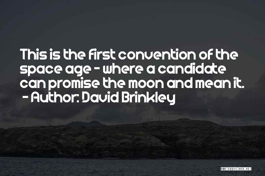 Brinkley Quotes By David Brinkley