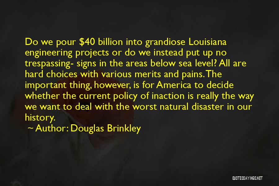 Brinkley Quotes By Douglas Brinkley