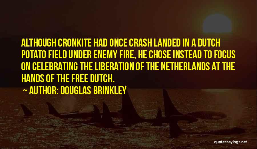 Brinkley Quotes By Douglas Brinkley