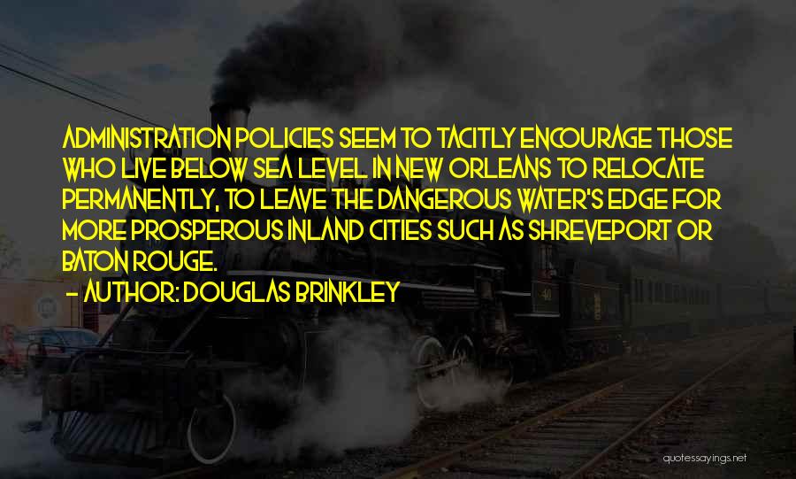 Brinkley Quotes By Douglas Brinkley