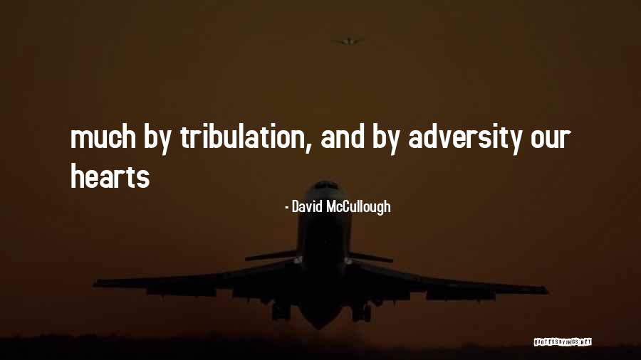 Brinks Home Quotes By David McCullough Brinks Home Quotes By David McCullough