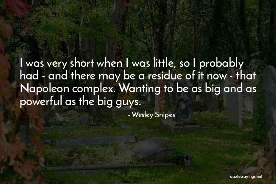 Brioches De Paques Quotes By Wesley Snipes Brioches De Paques Quotes By Wesley Snipes