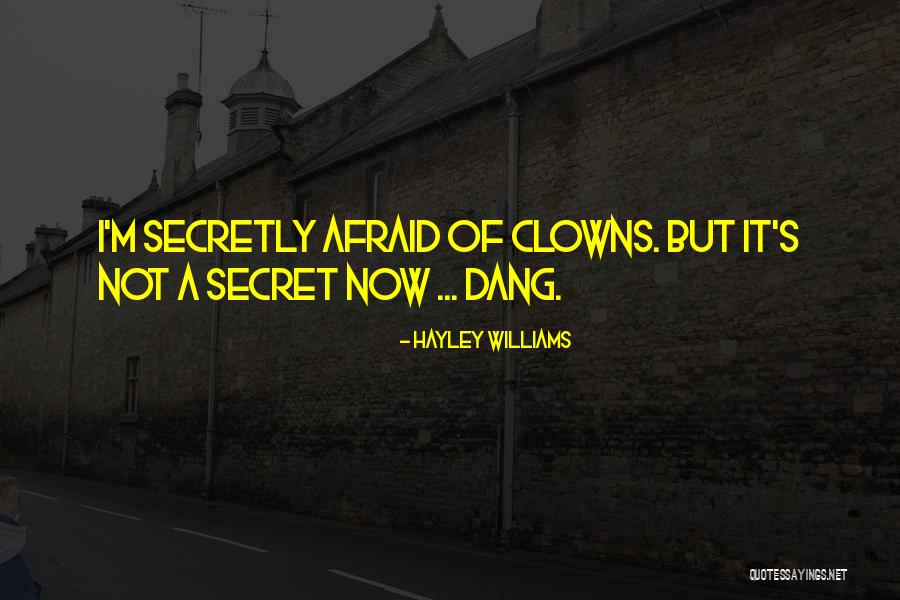 Briques Vandersanden Quotes By Hayley Williams