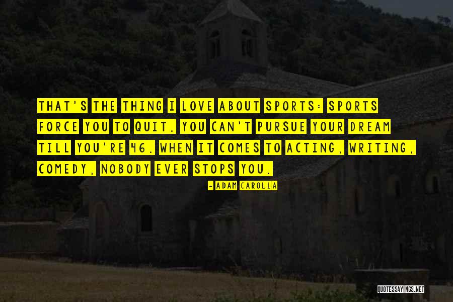 Briquette New Orleans Quotes By Adam Carolla Briquette New Orleans Quotes By Adam Carolla