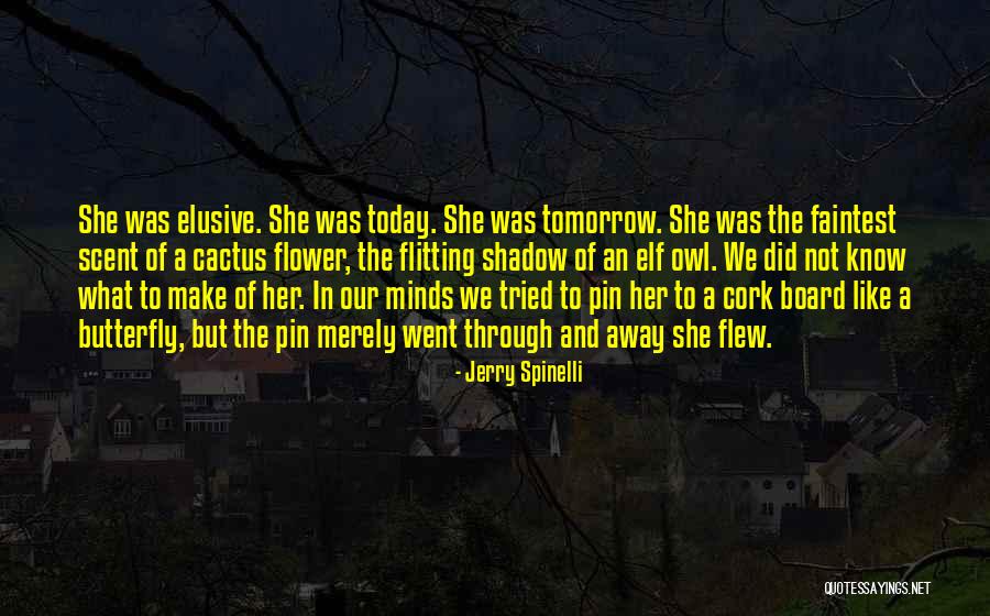 Brisees Quotes By Jerry Spinelli Brisees Quotes By Jerry Spinelli