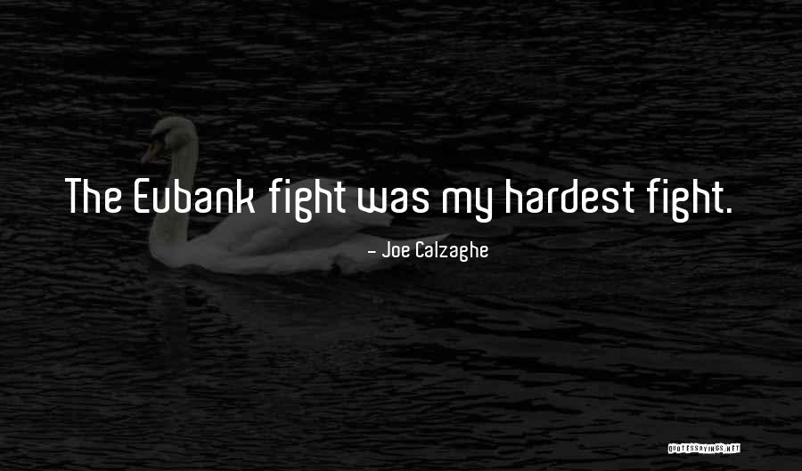 Briseida Holguin Quotes By Joe Calzaghe Briseida Holguin Quotes By Joe Calzaghe