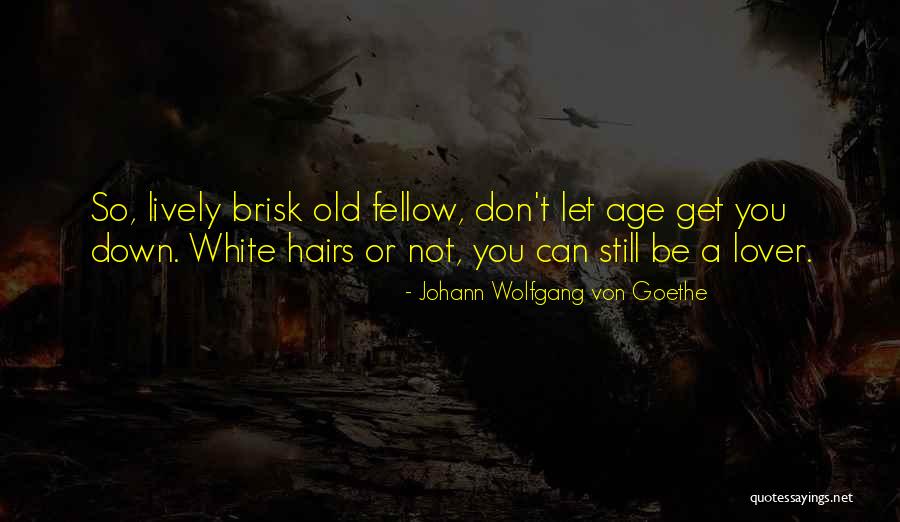 Brisk Quotes By Johann Wolfgang Von Goethe Brisk Quotes By Johann Wolfgang Von Goethe
