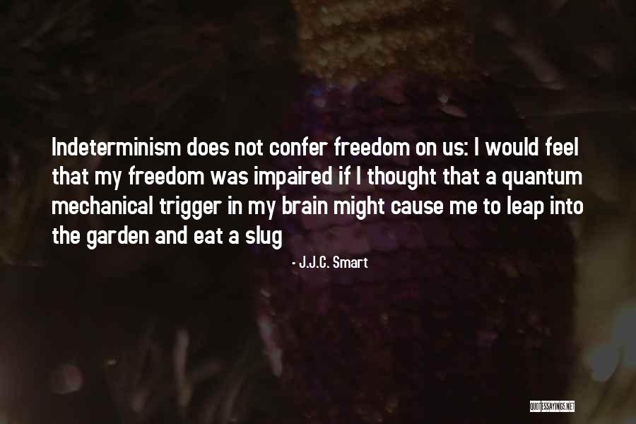 Brisman Implant Quotes By J.J.C. Smart Brisman Implant Quotes By J.J.C. Smart