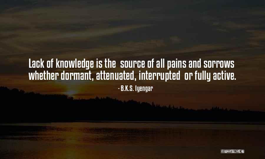 Brisseau French Quotes By B.K.S. Iyengar Brisseau French Quotes By B.K.S. Iyengar