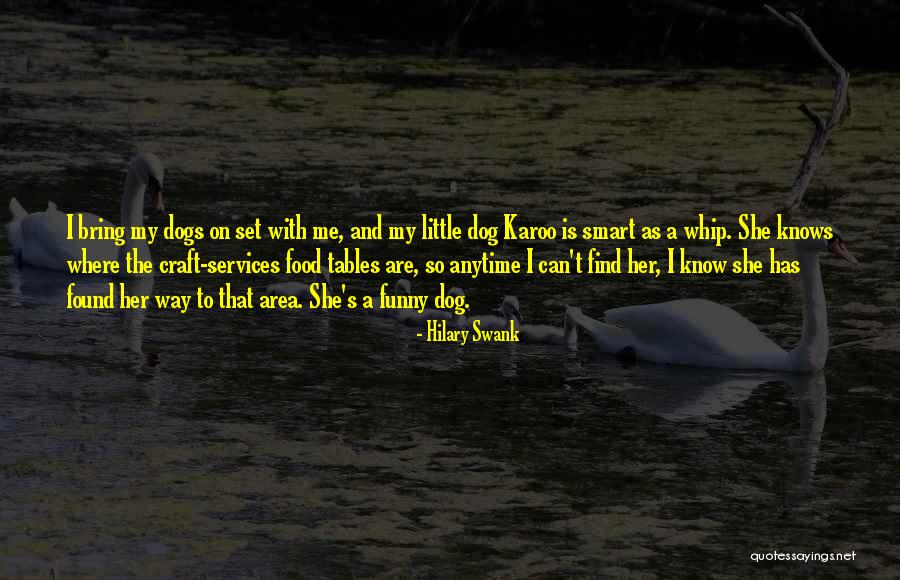 Brissie Law Quotes By Hilary Swank Brissie Law Quotes By Hilary Swank