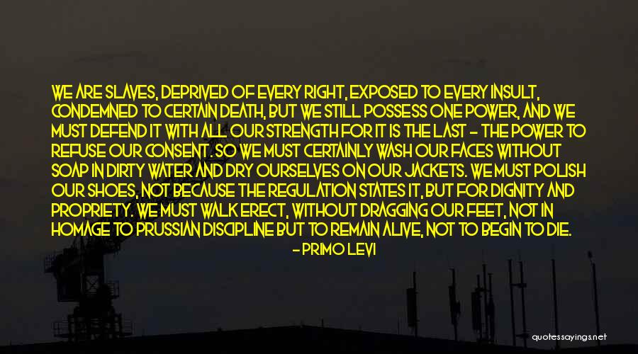 Brissy Reality Quotes By Primo Levi Brissy Reality Quotes By Primo Levi