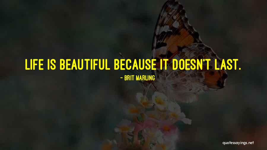 Brit Marling Quotes 2177182 Brit Marling Quotes 2177182