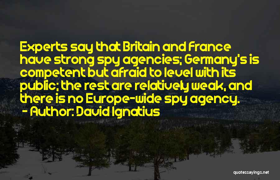 Britain And Europe Quotes By David Ignatius