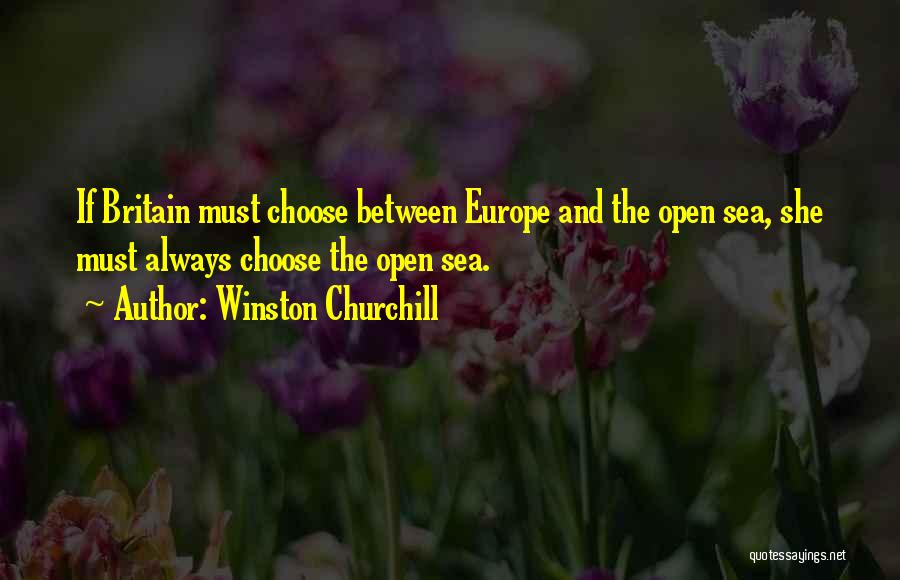 Britain And Europe Quotes By Winston Churchill