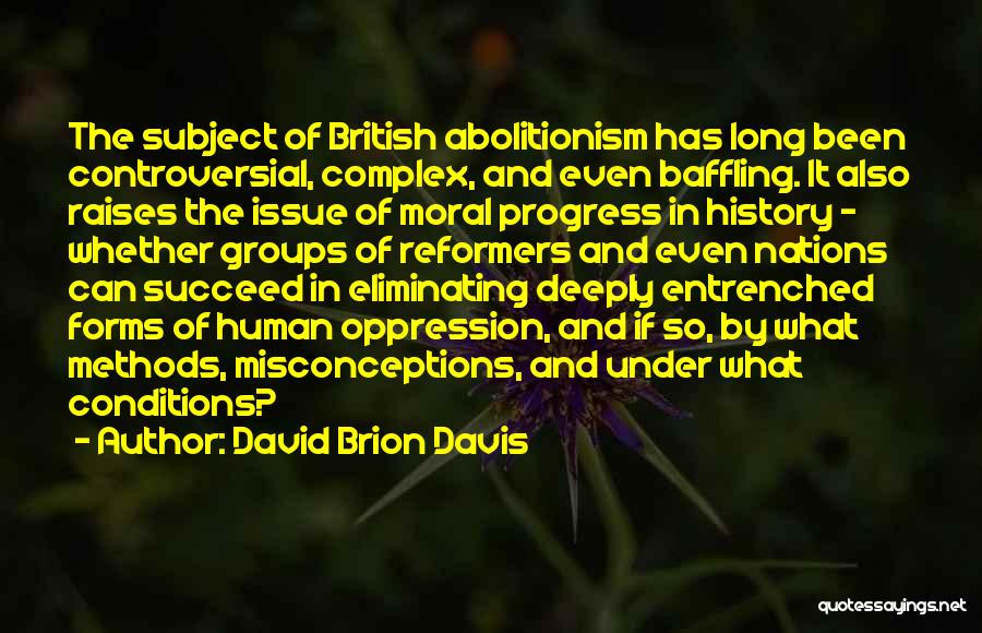 British History Quotes By David Brion Davis