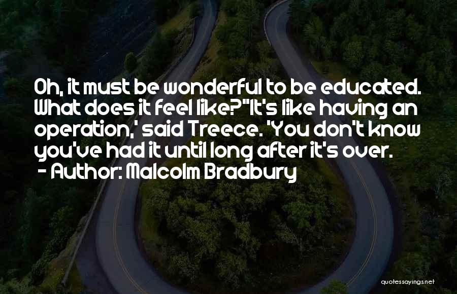 British Literature Quotes By Malcolm Bradbury