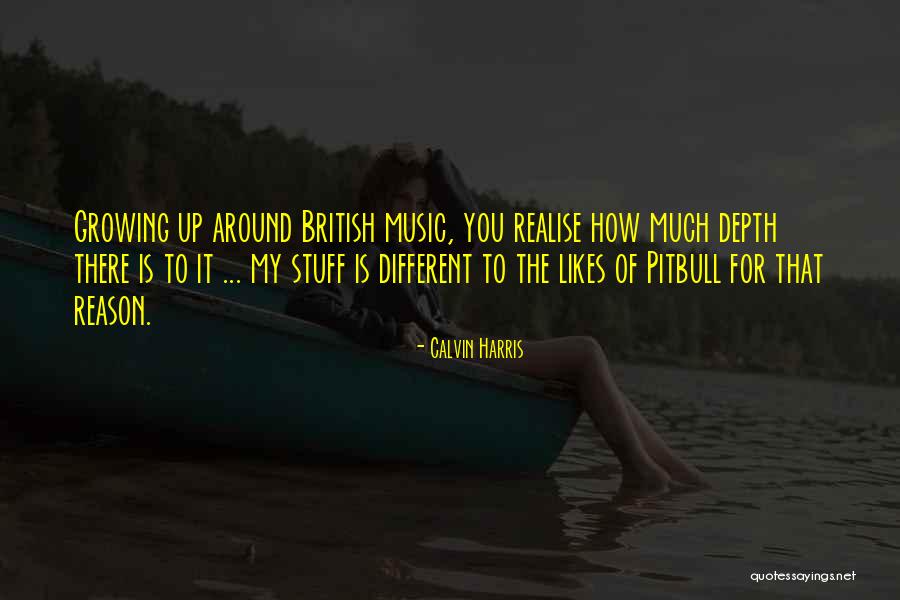 British Music Quotes By Calvin Harris British Music Quotes By Calvin Harris