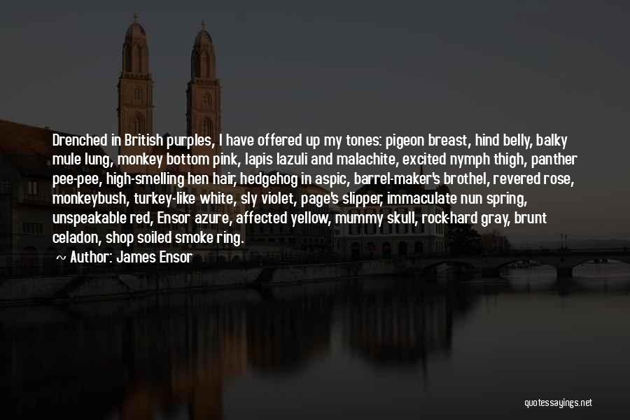 British Rock Quotes By James Ensor