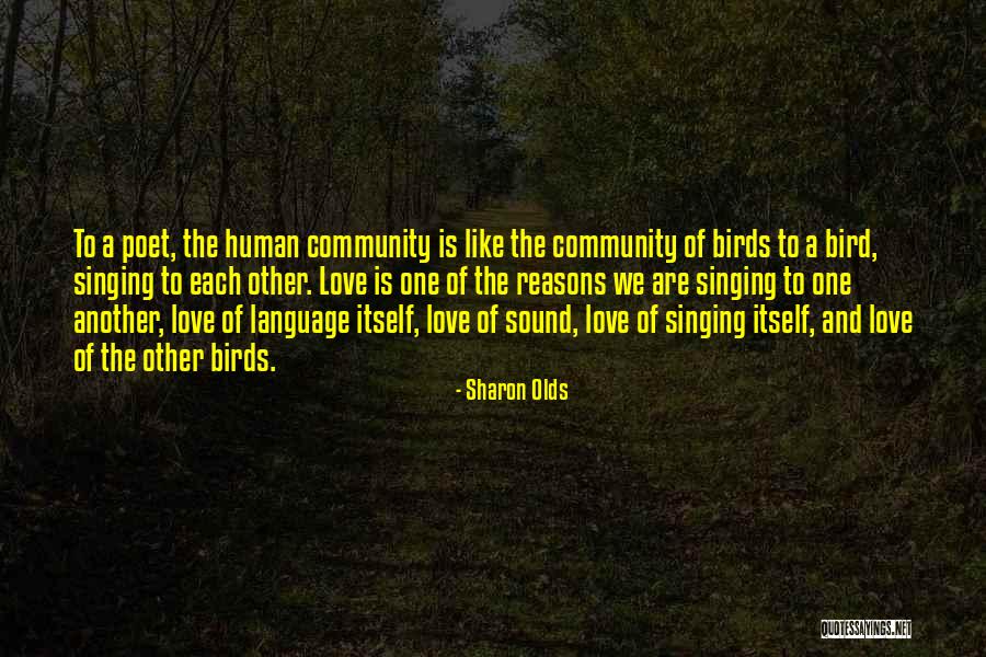 Brittanie Nash Quotes By Sharon Olds Brittanie Nash Quotes By Sharon Olds