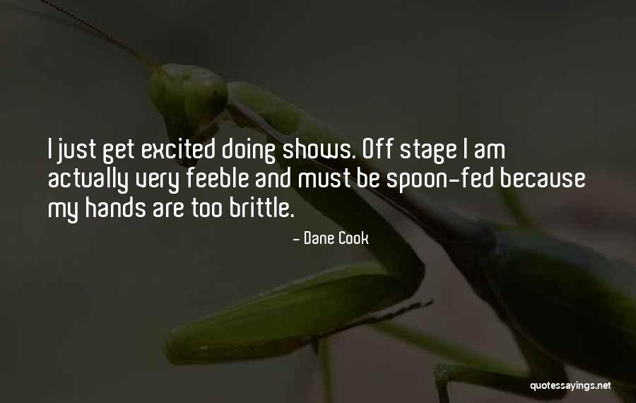 Brittle Quotes By Dane Cook