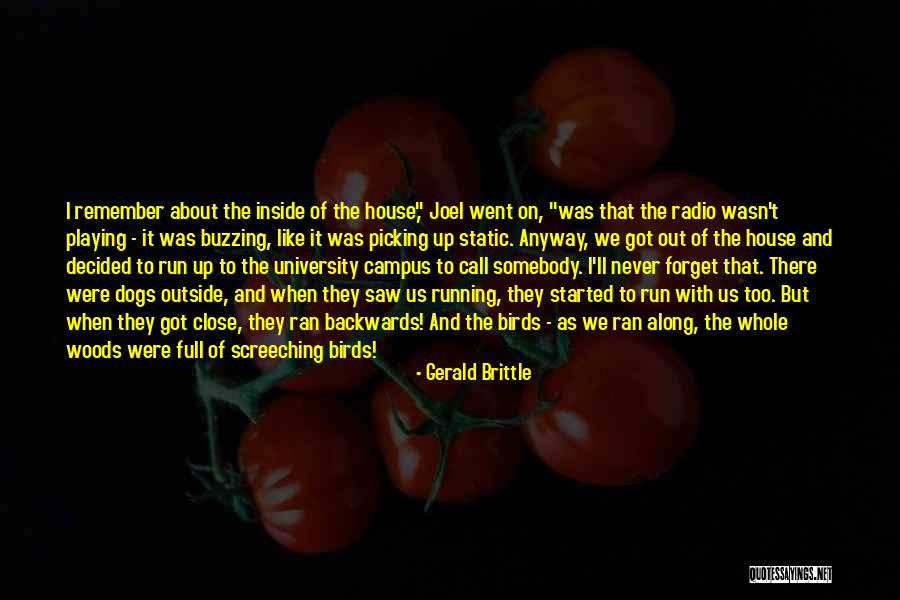 Brittle Quotes By Gerald Brittle