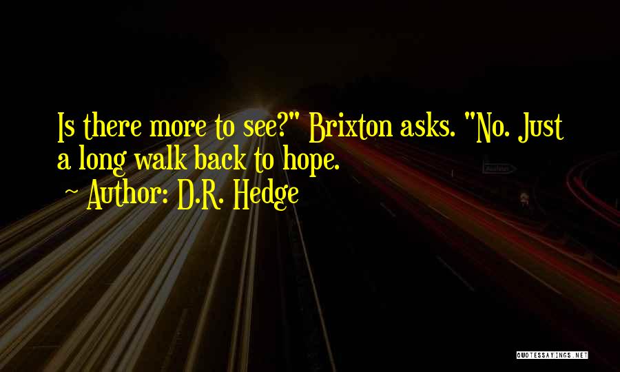 Brixton Quotes By D.R. Hedge